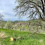 Gut Edel Daire Mullheim (Baden-Wurttemberg)